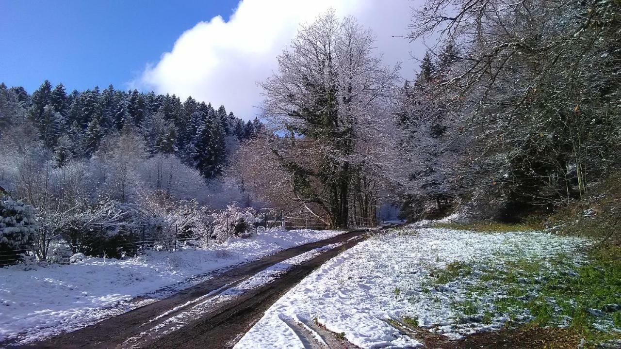 Saint-Amé Le Reposionヴィラ エクステリア 写真